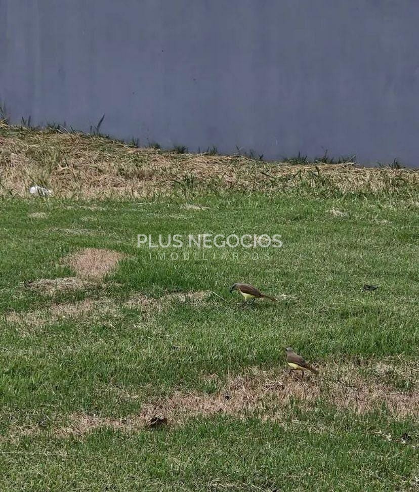 Terreno, 1000 m² - Foto 3