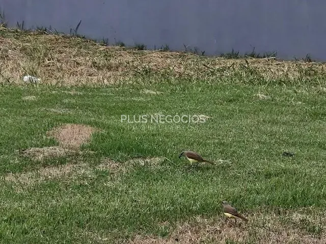 Terreno com 1000m², à venda, no bairro Parque Ecoresidencial Fazenda Jequitibá em Sorocaba