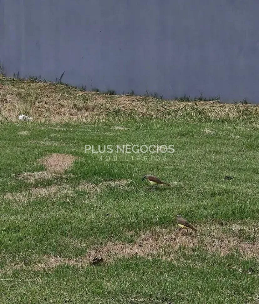 Terreno, 1000 m² - Foto 3