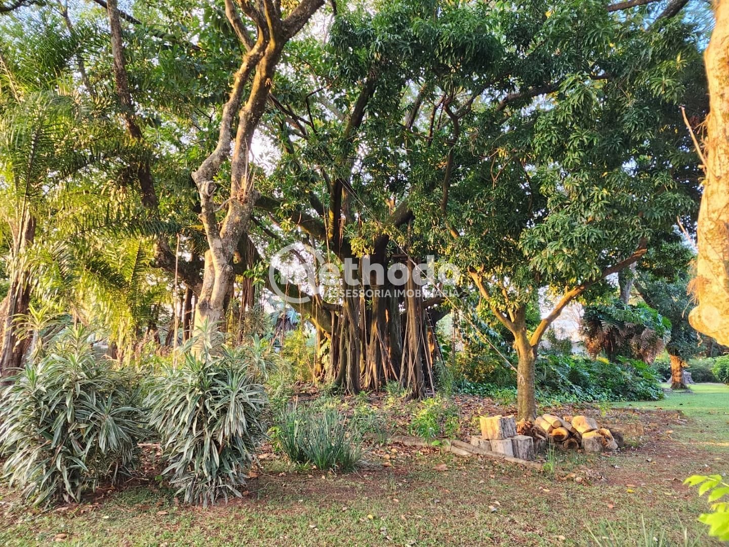 Terreno, 5090 m² - Foto 10