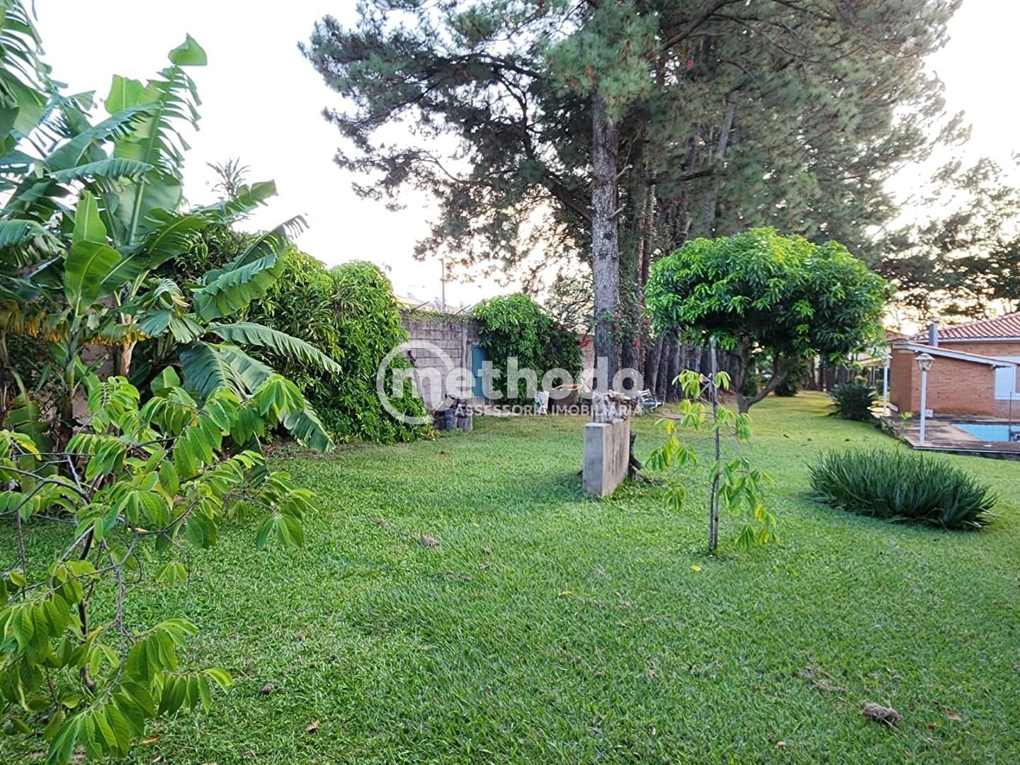 Terreno, 5090 m² - Foto 3