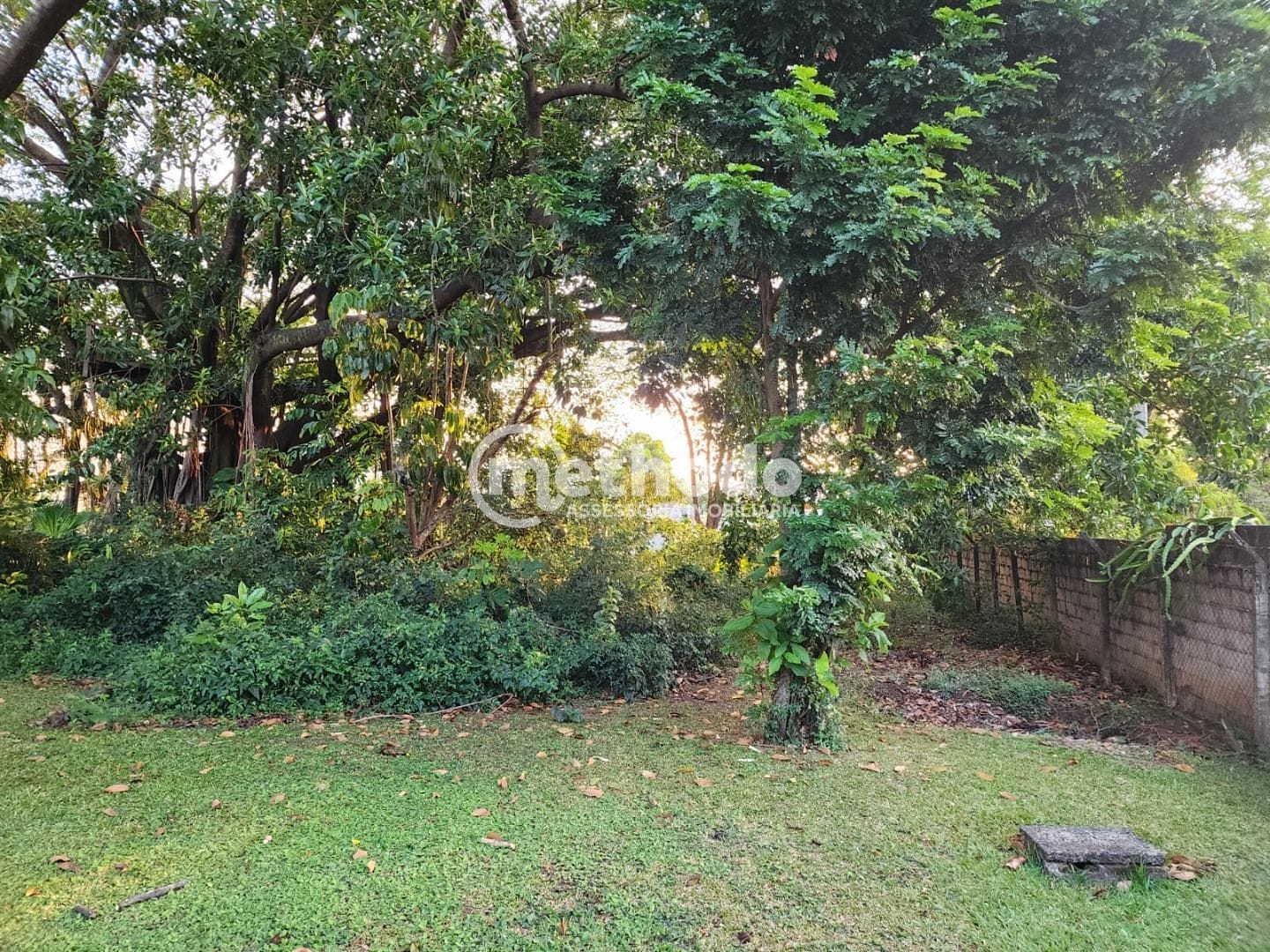 Terreno, 5090 m² - Foto 9