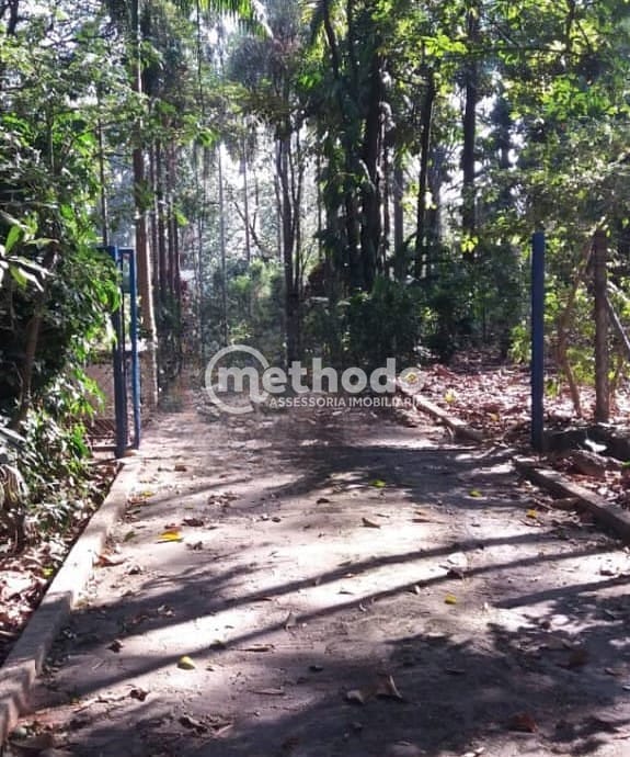 Terreno, 3 hectares - Foto 9