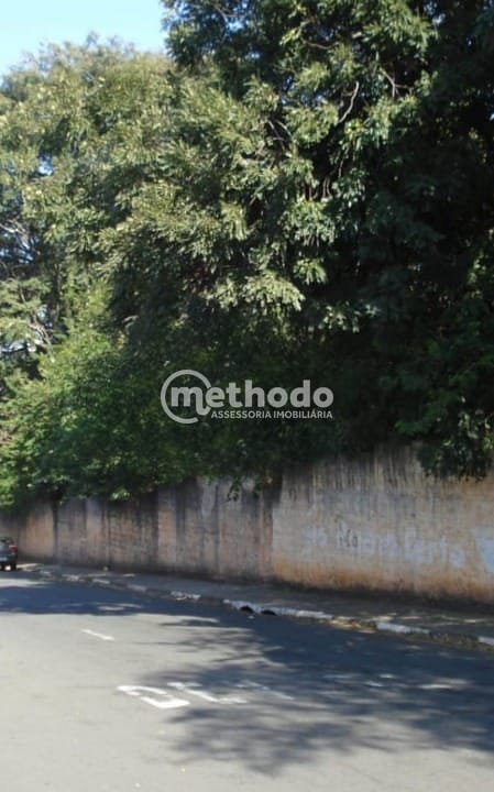 Terreno, 3 hectares - Foto 12