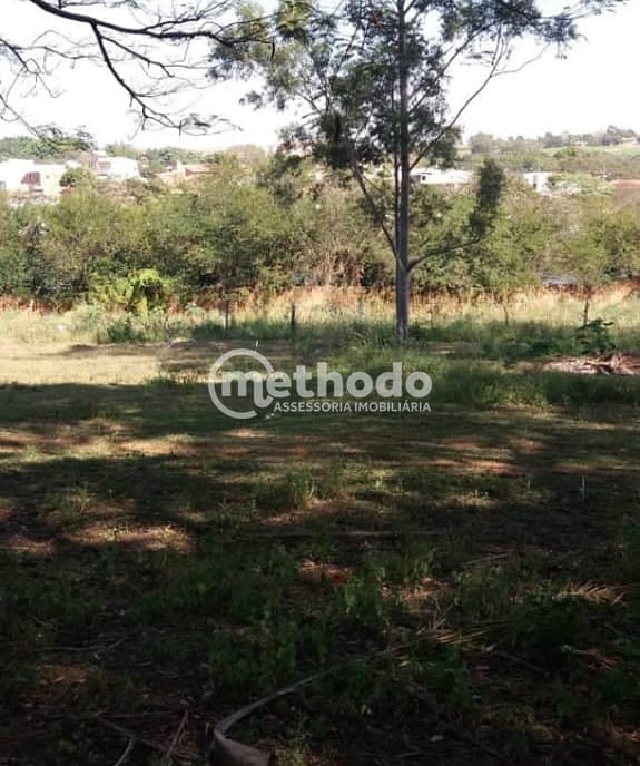 Terreno, 3 hectares - Foto 5