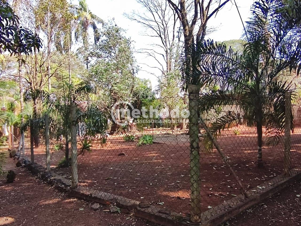 Terreno, 3 hectares - Foto 15