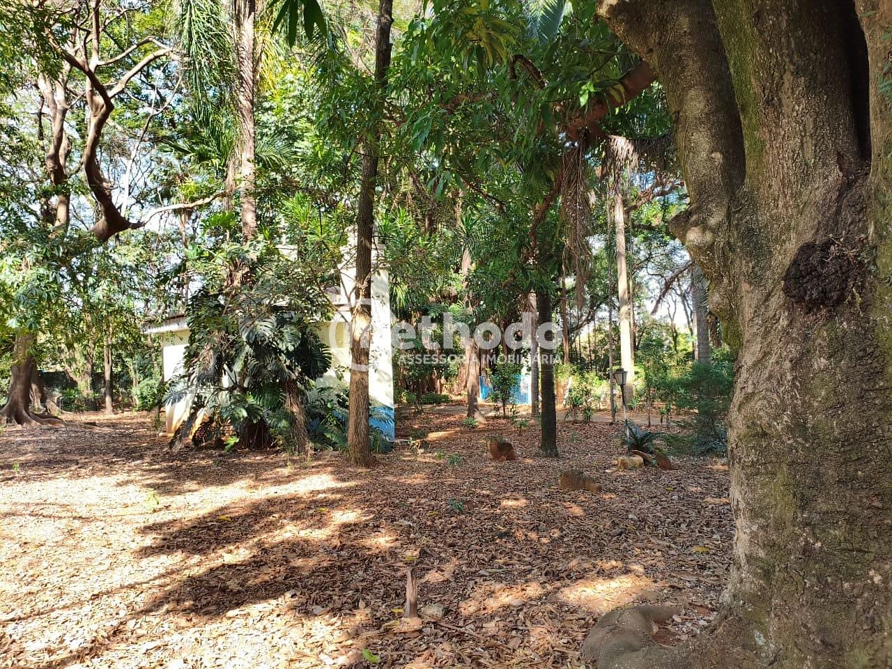 Terreno, 3 hectares - Foto 16