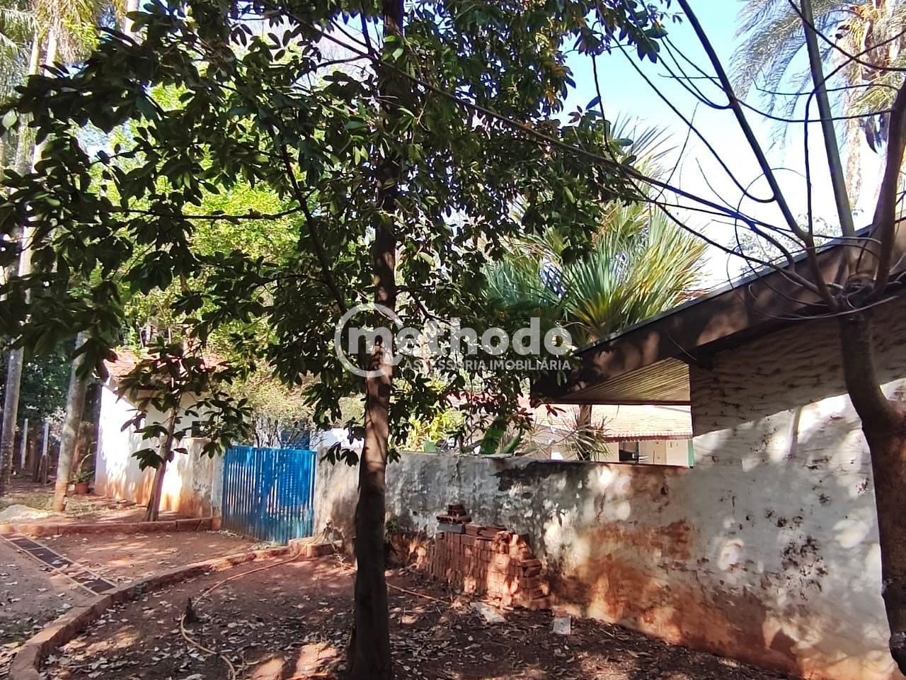 Terreno, 3 hectares - Foto 17