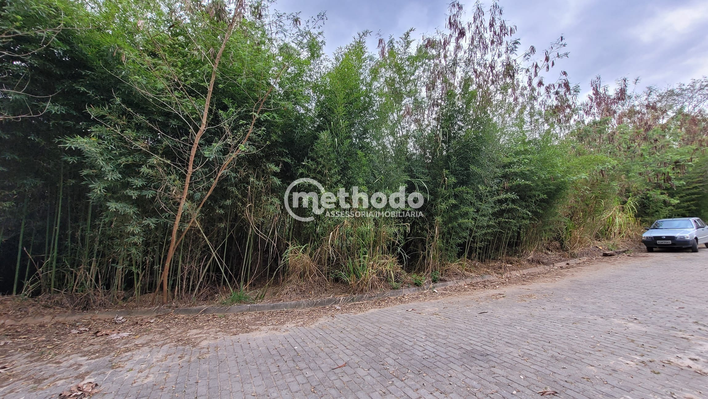 Terreno, 2 hectares - Foto 2