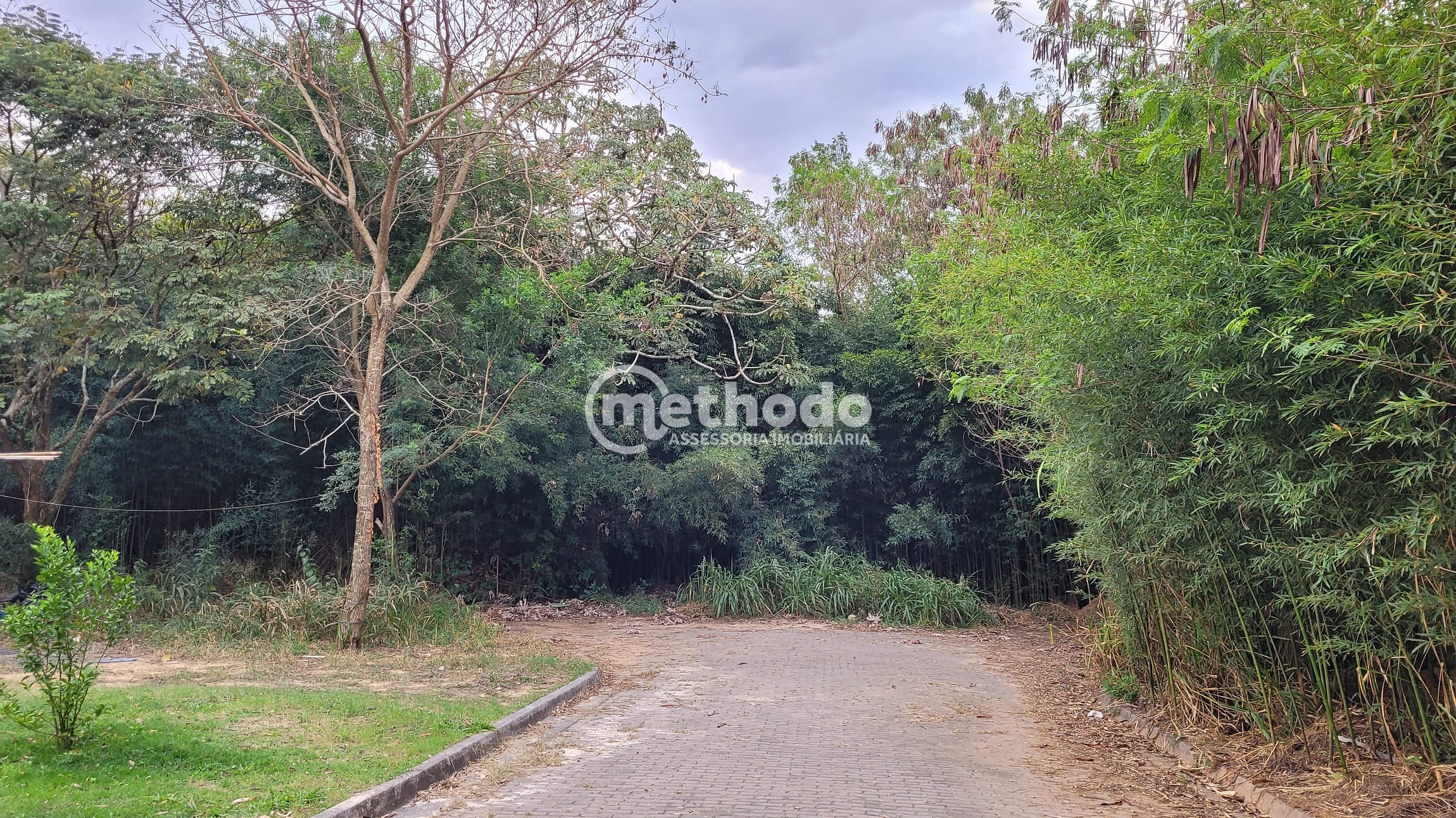 Terreno, 2 hectares - Foto 3