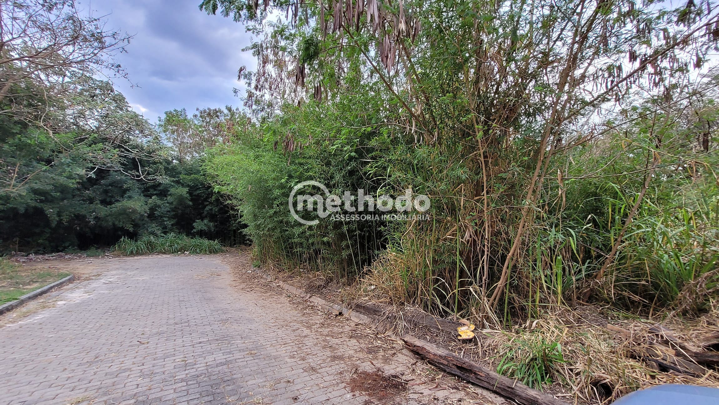 Terreno, 2 hectares - Foto 4