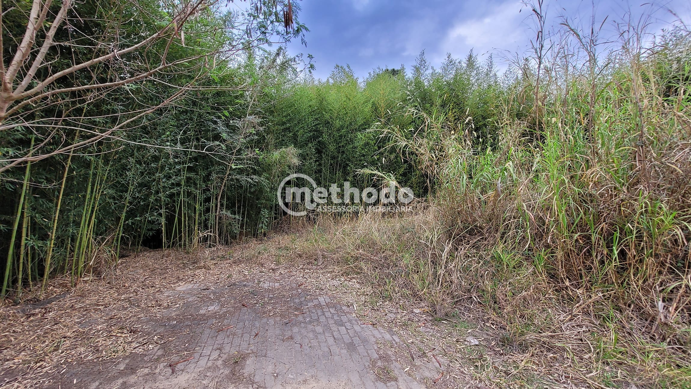 Terreno, 2 hectares - Foto 6