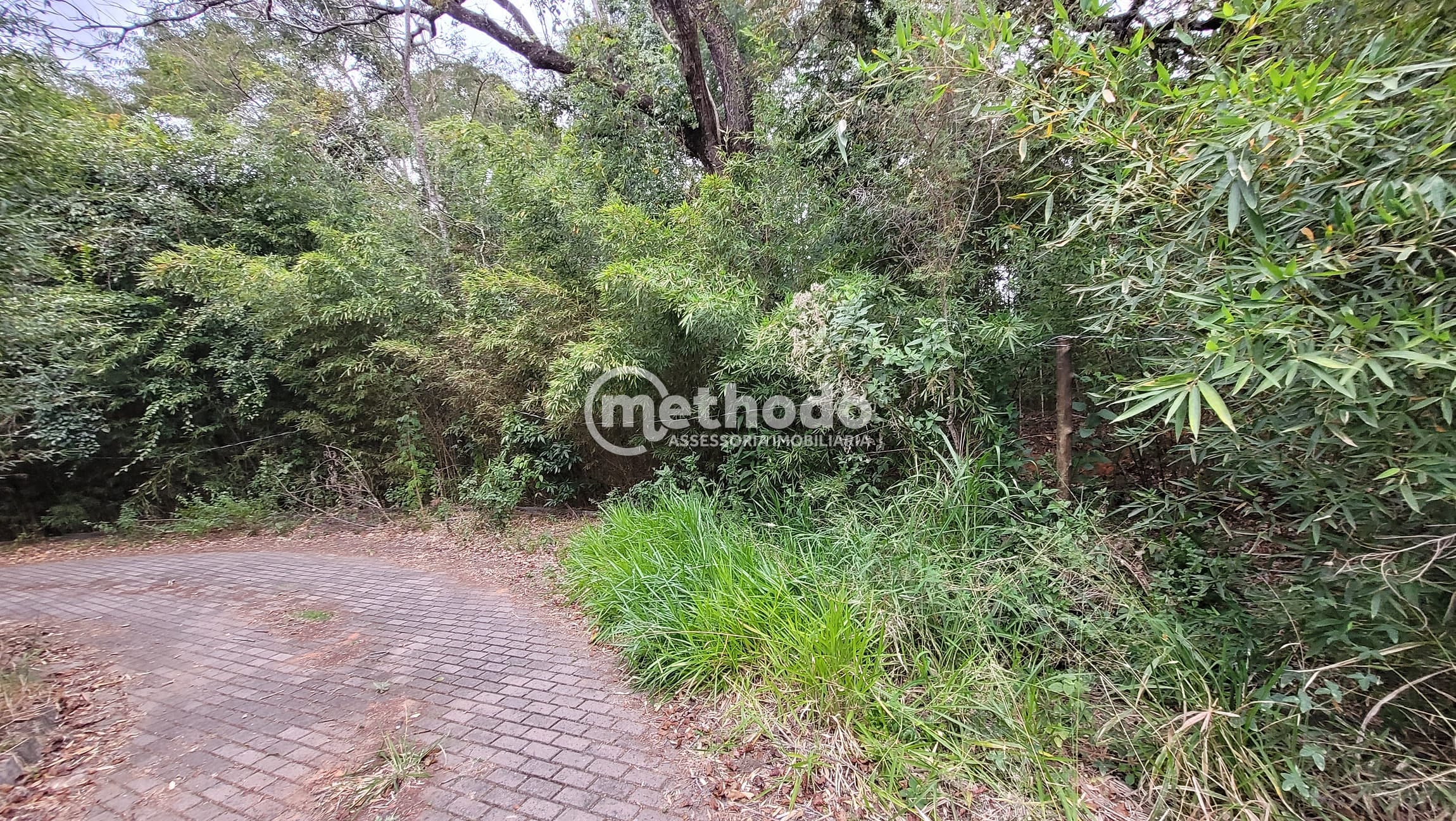 Terreno, 2 hectares - Foto 8