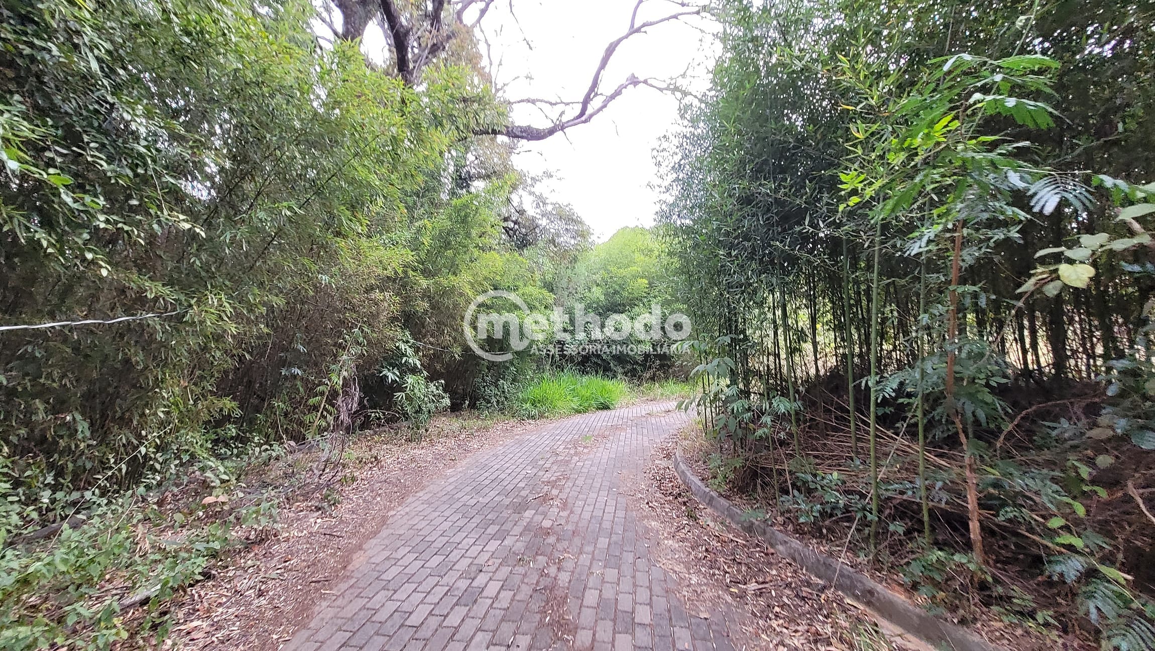 Terreno, 2 hectares - Foto 9