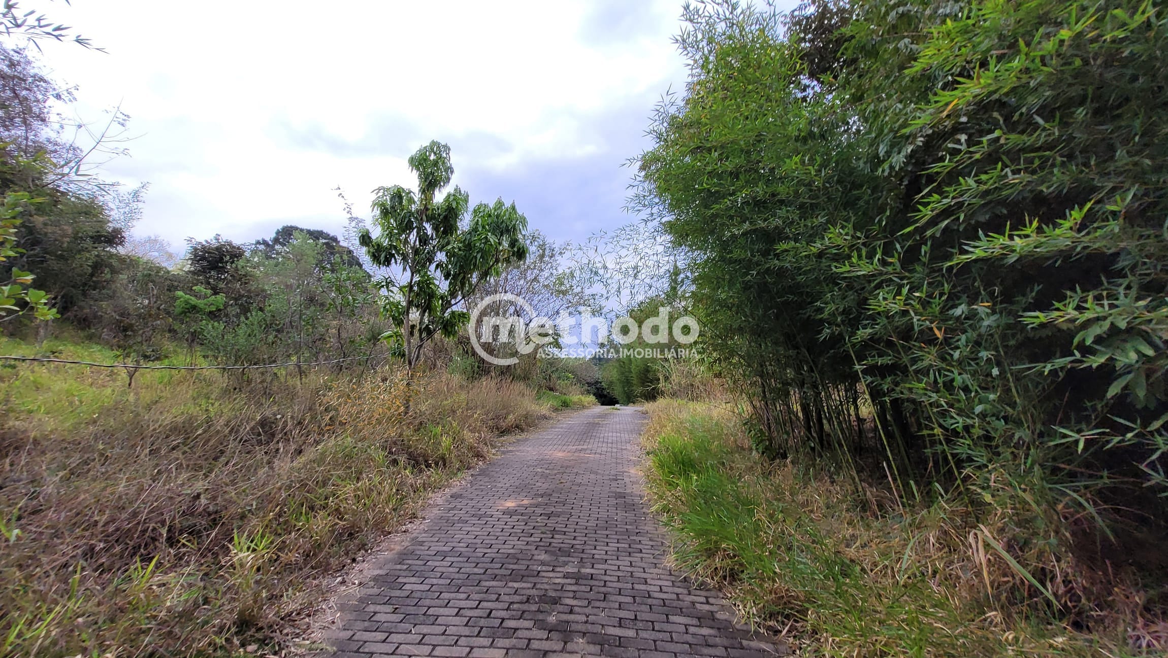 Terreno, 2 hectares - Foto 10