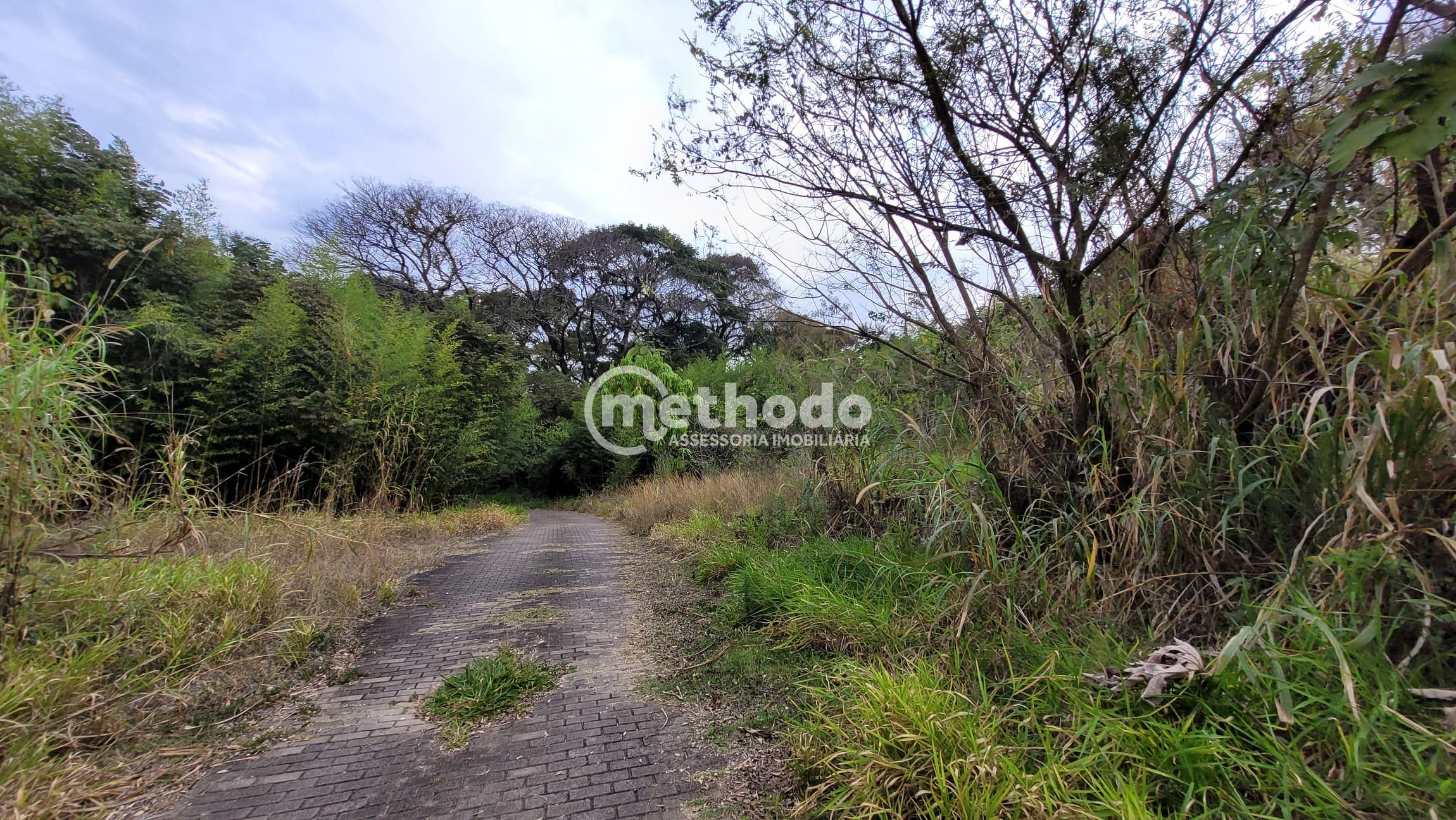 Terreno, 2 hectares - Foto 11