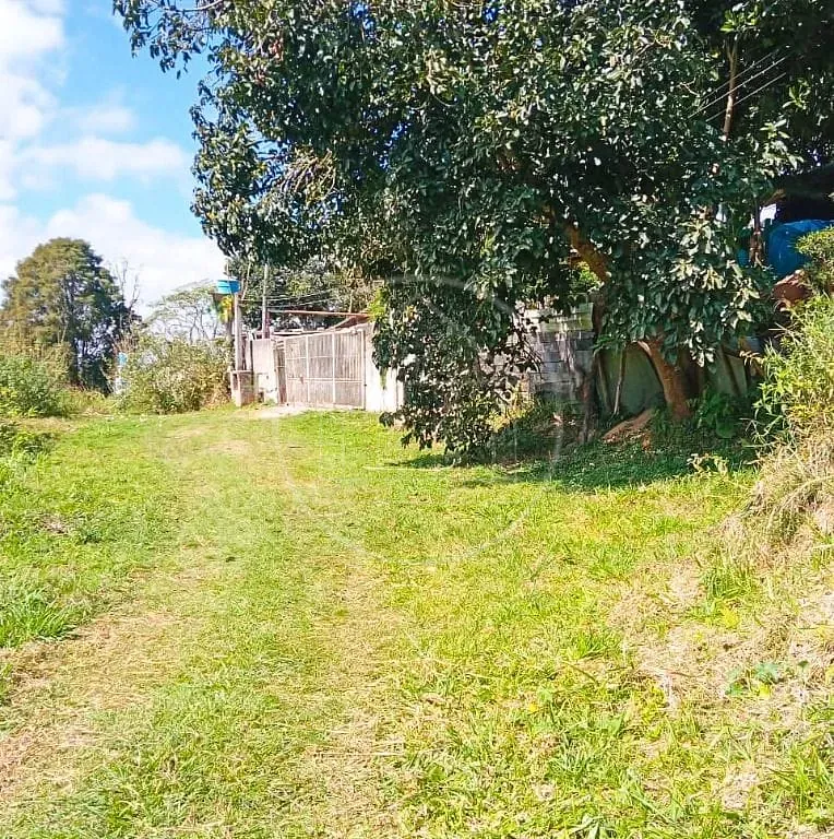 Terreno, 5 hectares - Foto 8