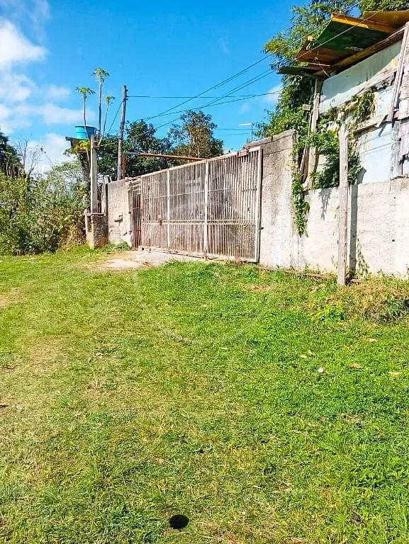 Terreno, 5 hectares - Foto 5
