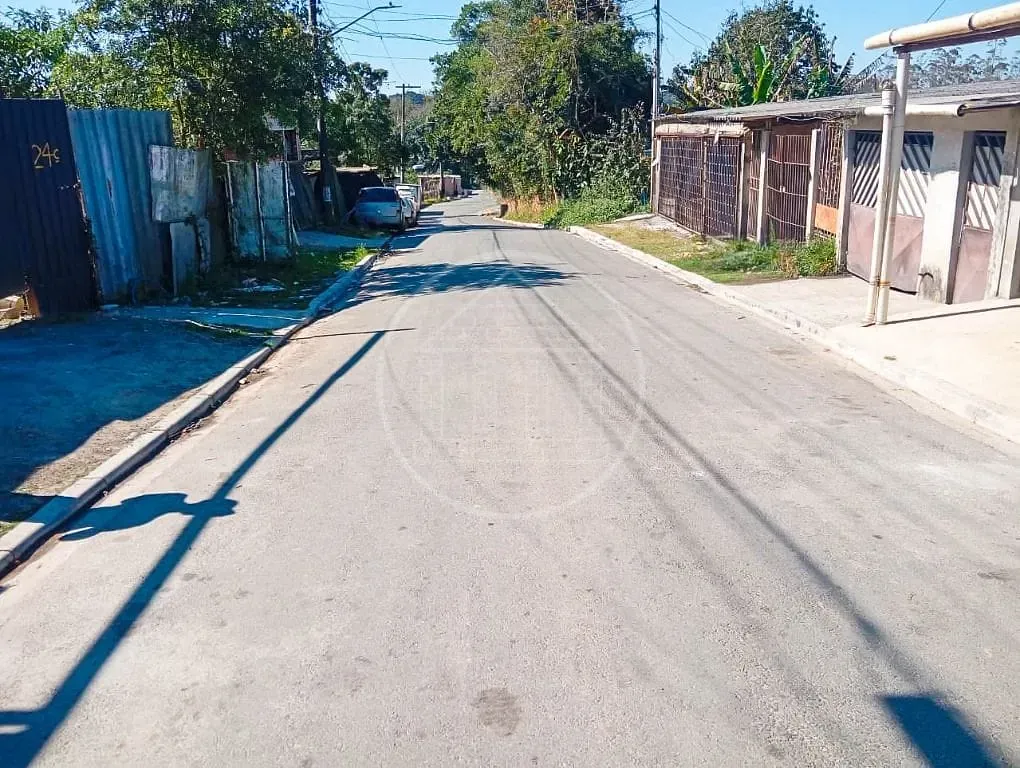 Terreno, 5 hectares - Foto 6