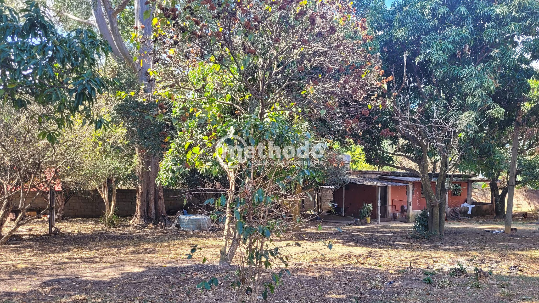 Terreno, 1 hectares - Foto 3