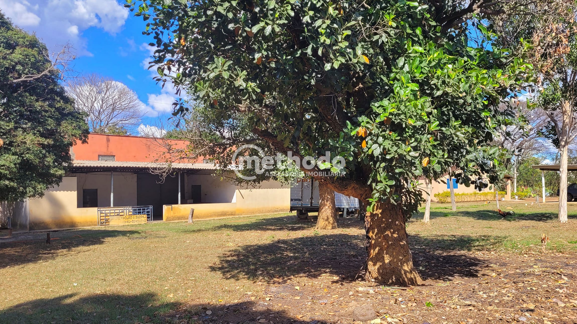 Terreno, 1 hectares - Foto 4