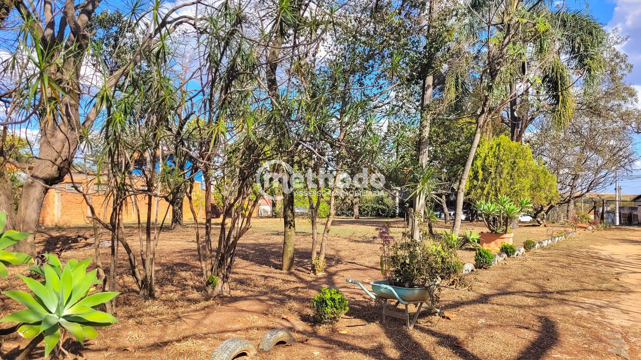 Terreno, 1 hectares - Foto 15