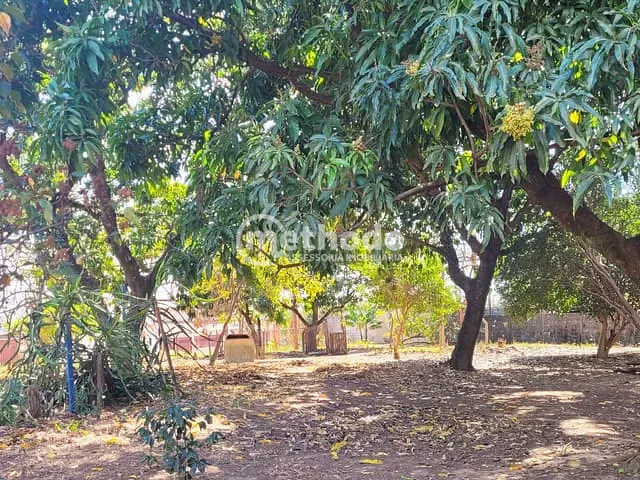 Terreno com 10300m², à venda, no bairro Jardim Planalto de Viracopos em Campinas