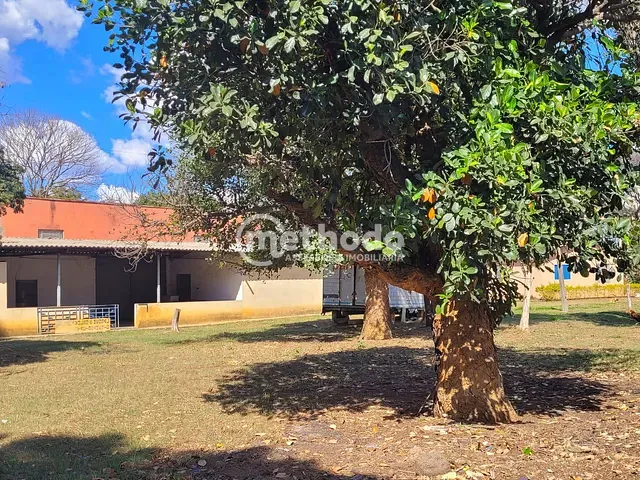 Terreno com 10300m², à venda, no bairro Jardim Planalto de Viracopos em Campinas