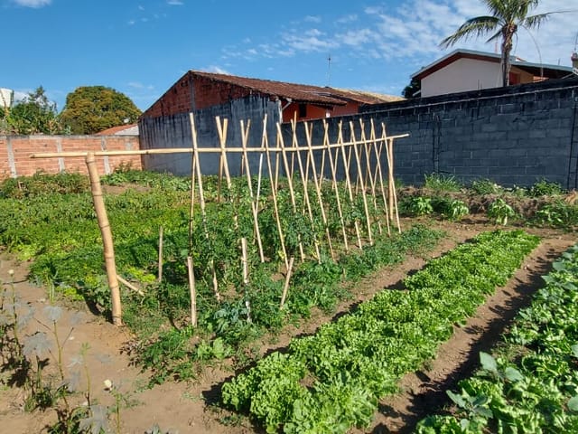 Terreno com 270m², à venda, no bairro Nossa Senhora do Perpétuo Socorro em Pindamonhangaba