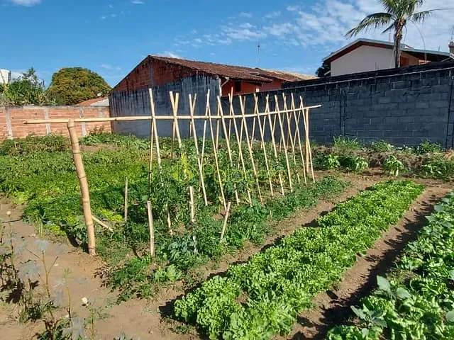 Terreno com 270m², à venda, no bairro Nossa Senhora do Perpétuo Socorro em Pindamonhangaba