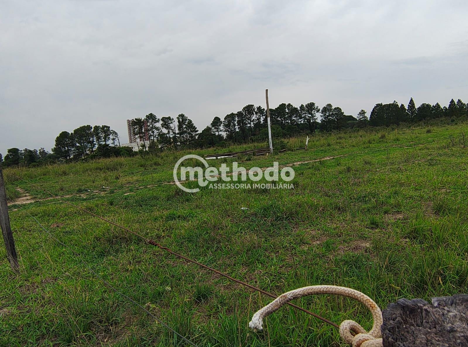 Terreno, 9 hectares - Foto 13