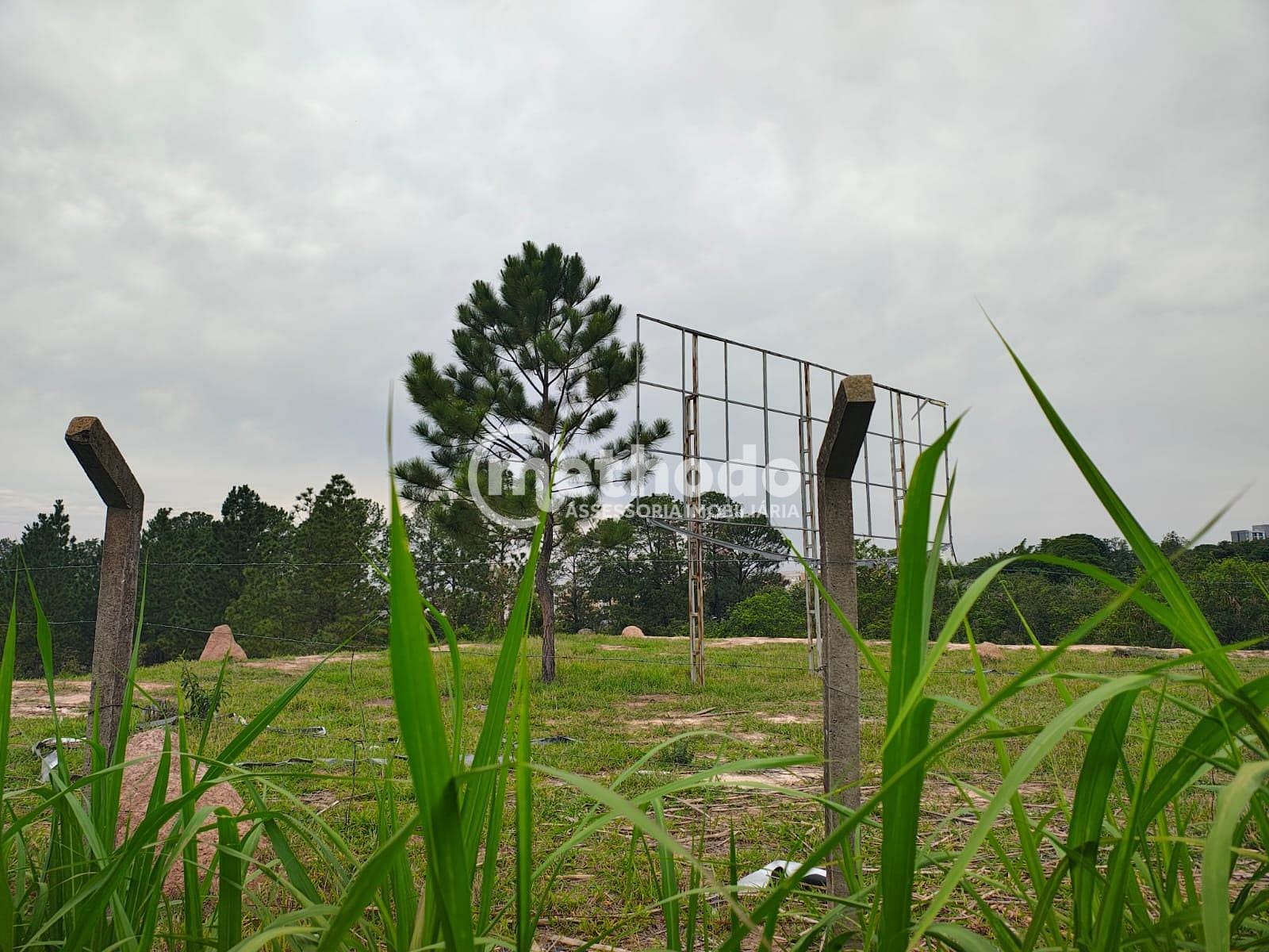 Terreno, 9 hectares - Foto 8