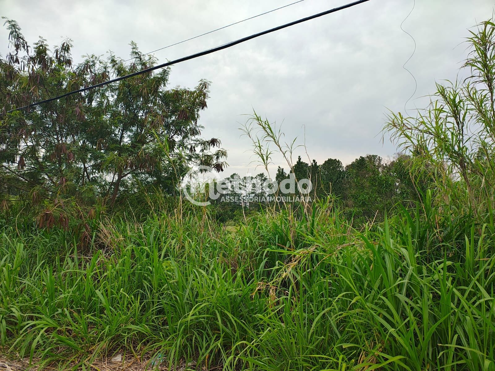 Terreno, 9 hectares - Foto 10