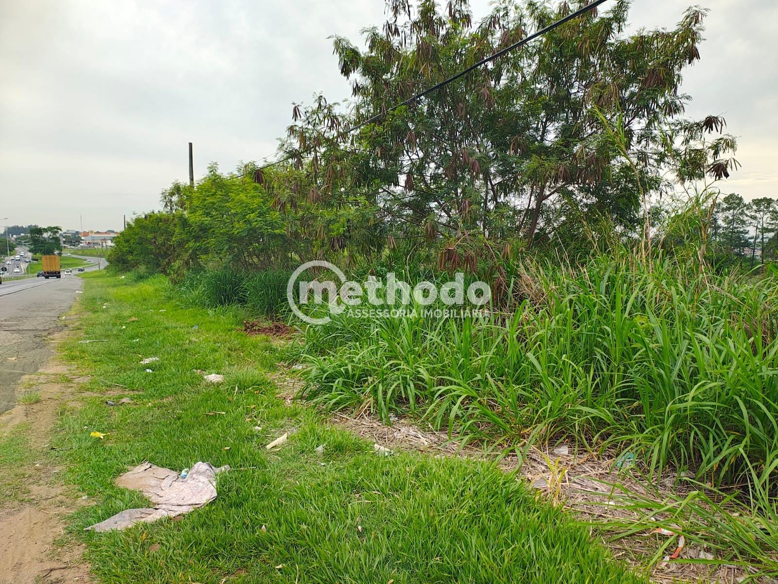 Terreno, 9 hectares - Foto 11