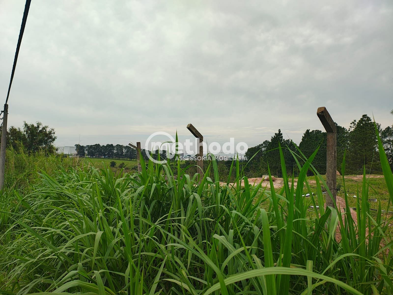 Terreno, 9 hectares - Foto 16