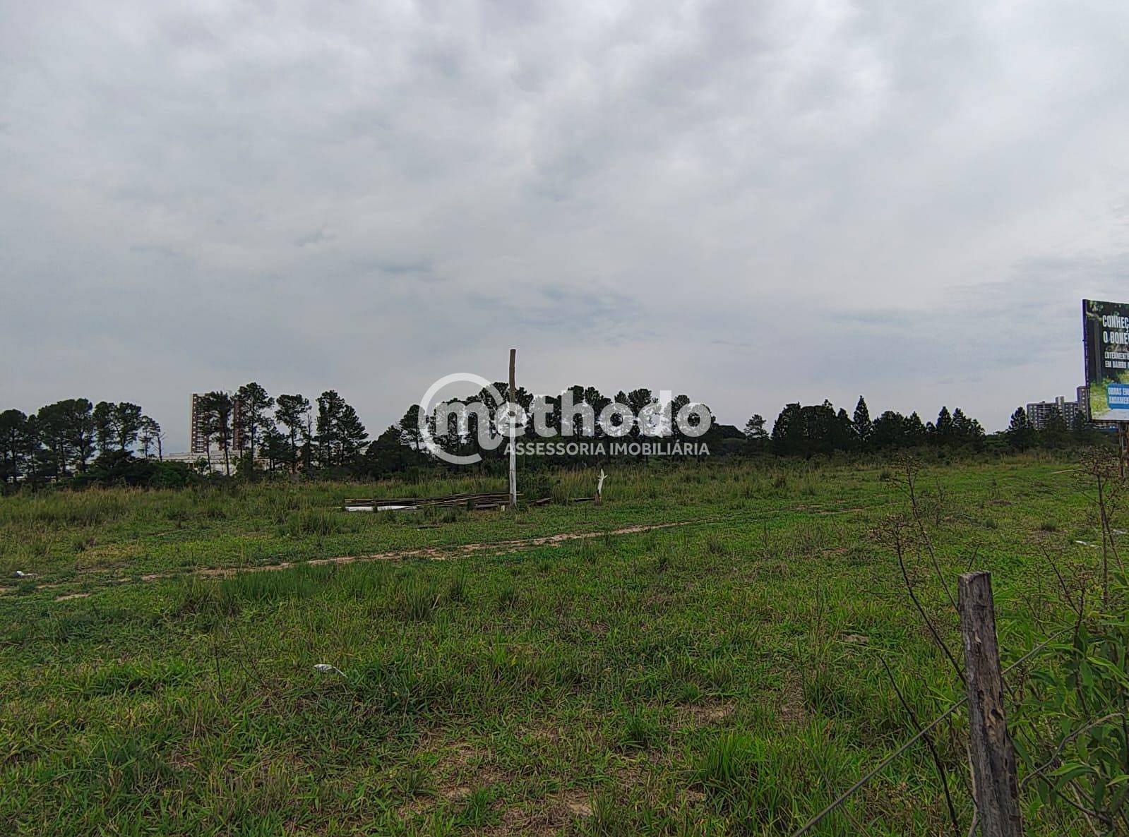 Terreno, 9 hectares - Foto 19