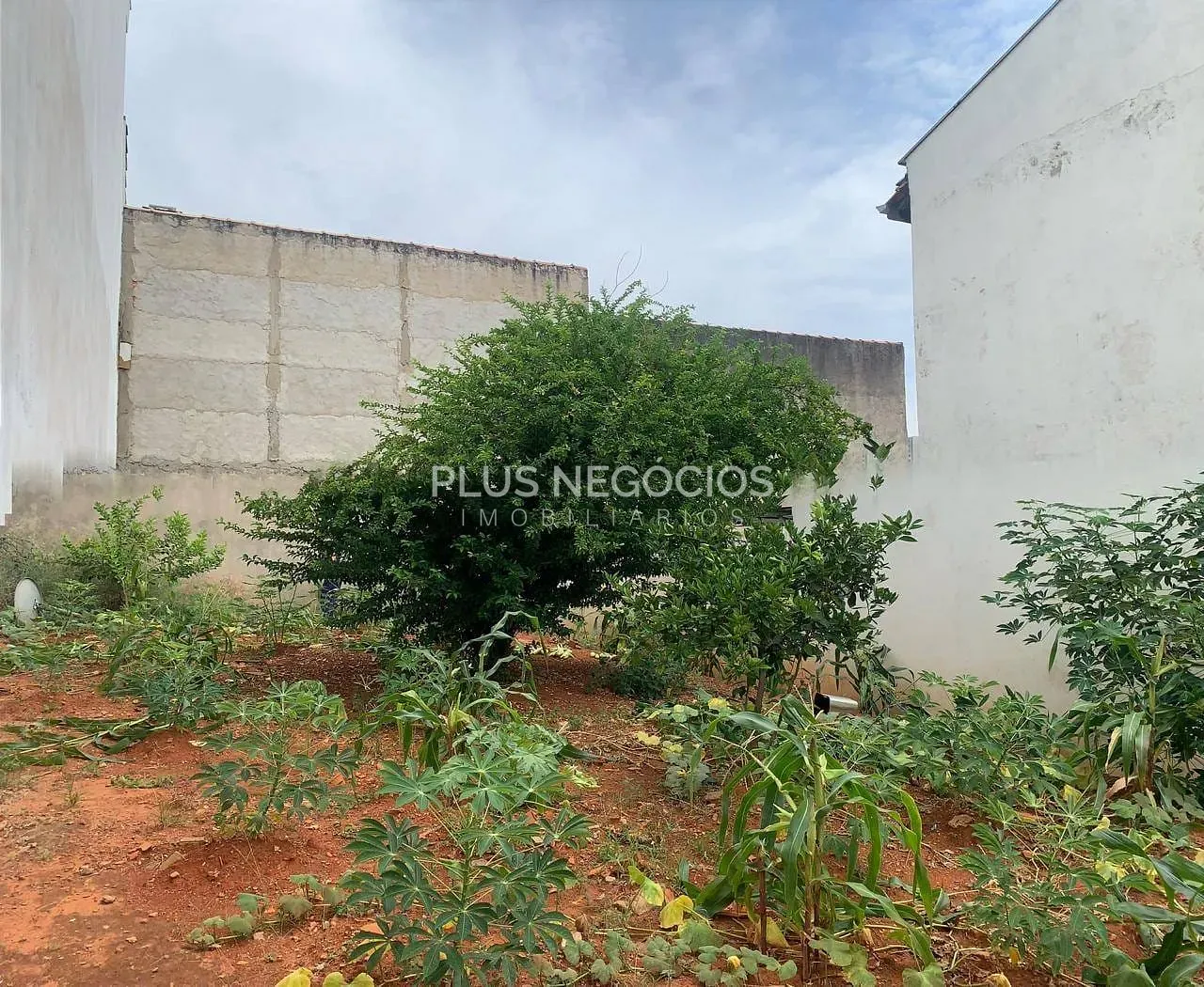 Terreno, 200 m² - Foto 3