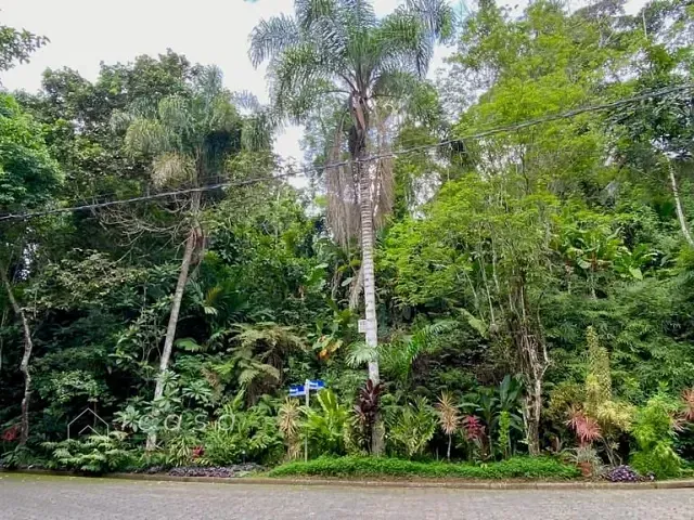 Terreno com 1010m², à venda, no bairro Toninhas em Ubatuba