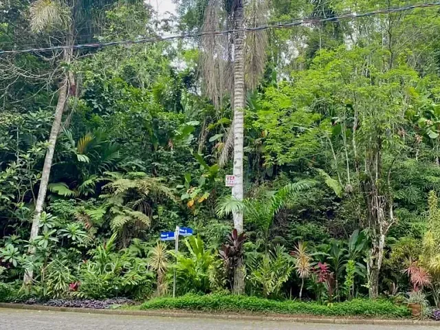 Terreno com 1010m², à venda, no bairro Toninhas em Ubatuba