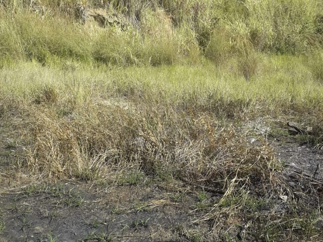 Terreno com 125m², à venda, no bairro Itaguaçú em Aparecida