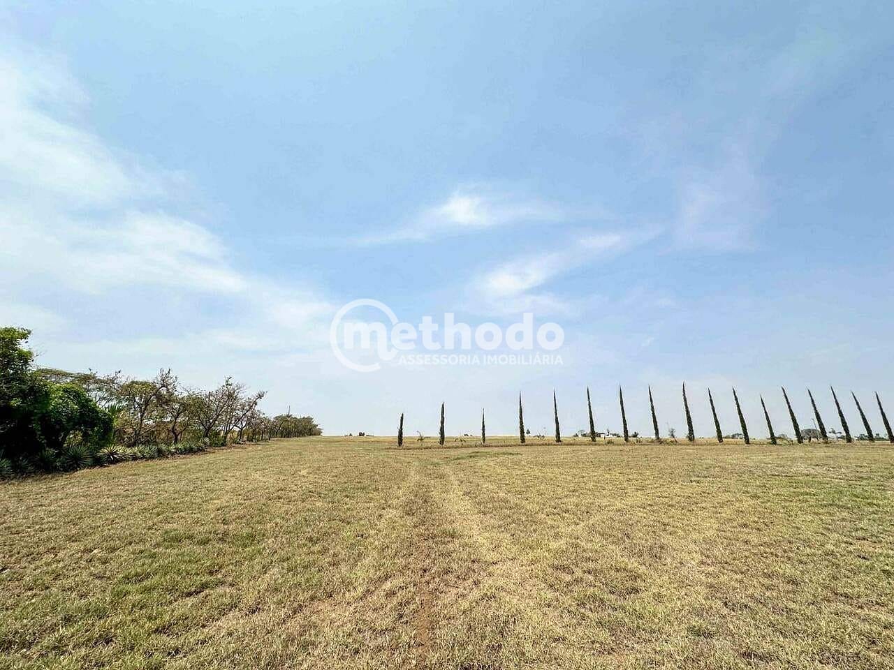 Terreno, 6 hectares - Foto 3