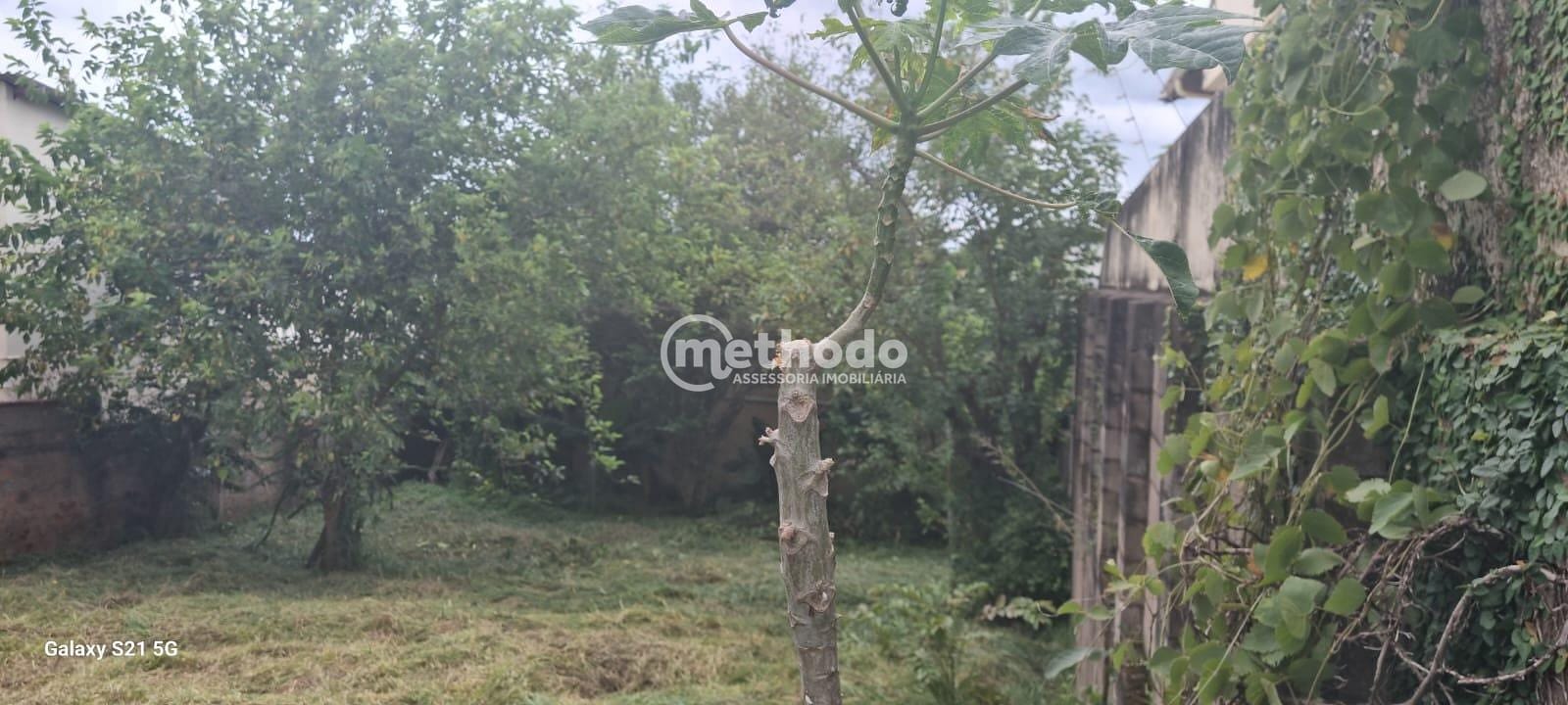 Terreno, 450 m² - Foto 3