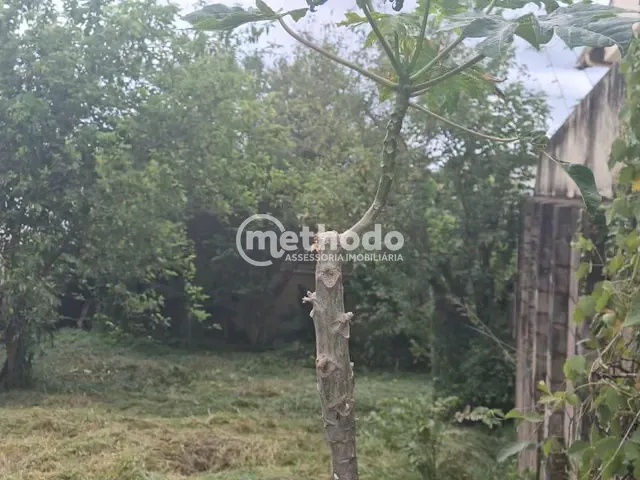 Terreno com 450m², à venda, no bairro Cidade Universitária em Campinas