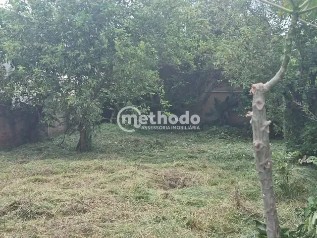 Terreno com 450m², à venda, no bairro Cidade Universitária em Campinas