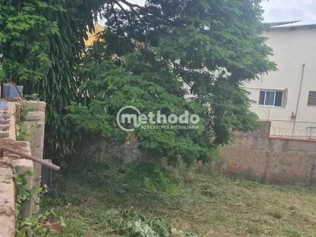 Terreno com 450m², à venda, no bairro Cidade Universitária em Campinas