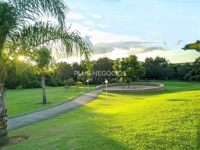Terreno à venda, 250m² - Foto 6