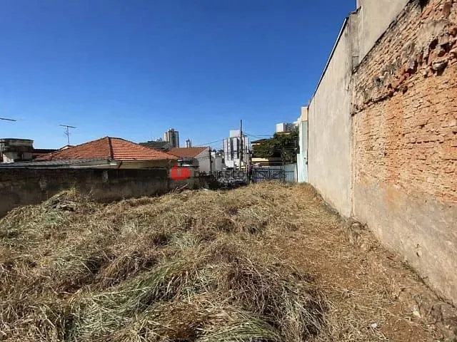 Terreno com 500m², para alugar, no bairro Santa Maria em São Caetano do Sul