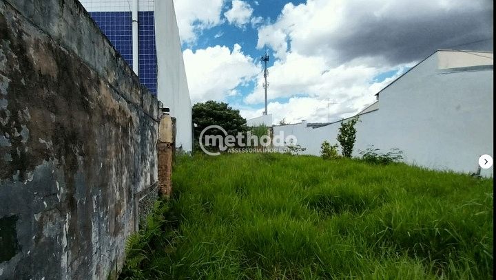Terreno, 300 m² - Foto 3