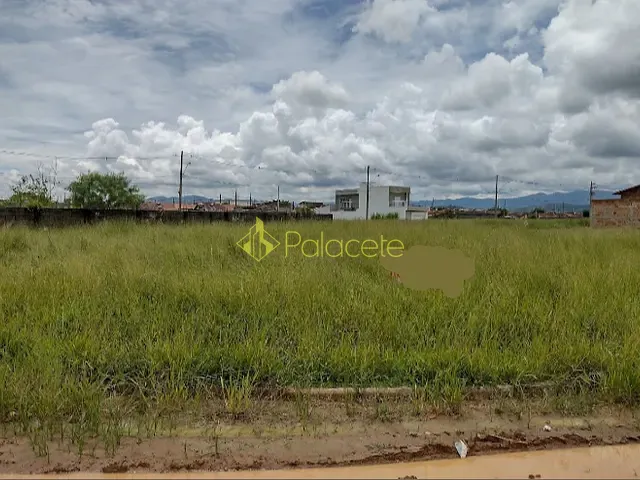 Terreno com 250m², à venda, no bairro Residencial e Comercial Portal dos Eucaliptos em Pindamonhangaba
