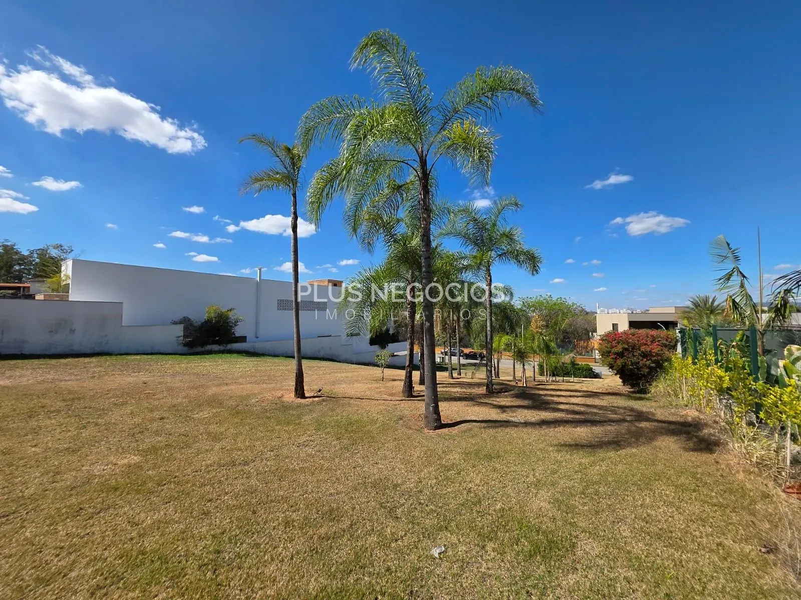 Terreno, 768 m² - Foto 6
